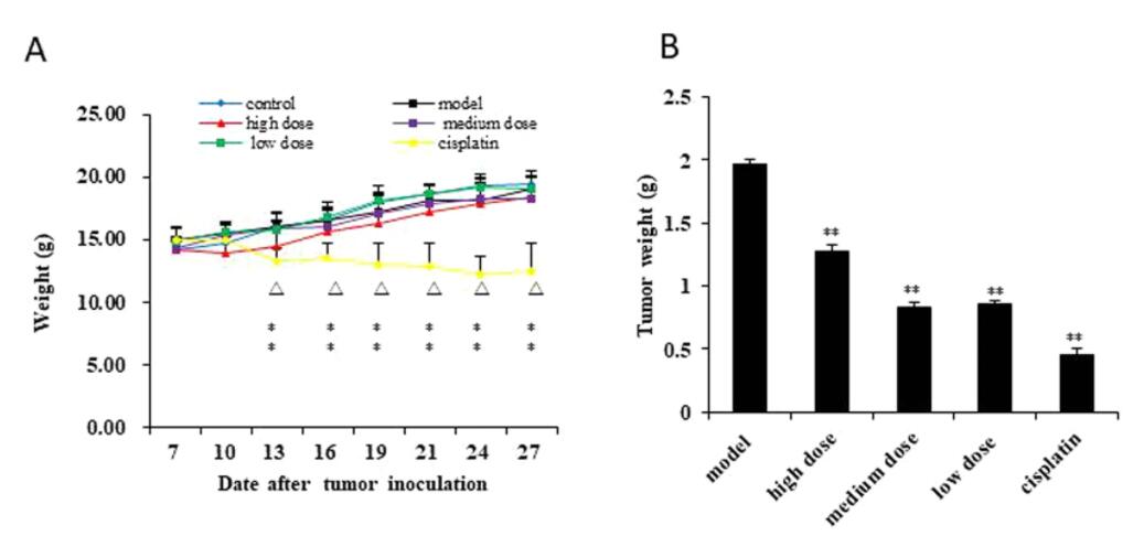 Comparison of anti-tumor effects after Taking Ganoderma lucidum Extract vs Chemotherapy