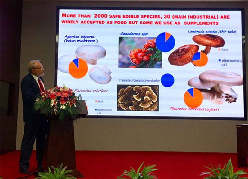 The value of ganoderma lucidum is proved by time figure 3