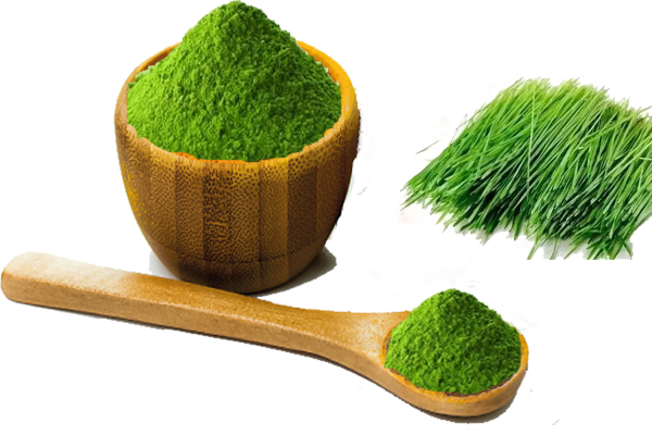 barley grass powder.png