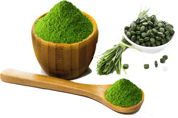 wheat grass powder .png