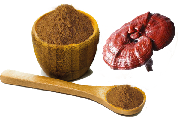 ganoderma lucidum beta glucan